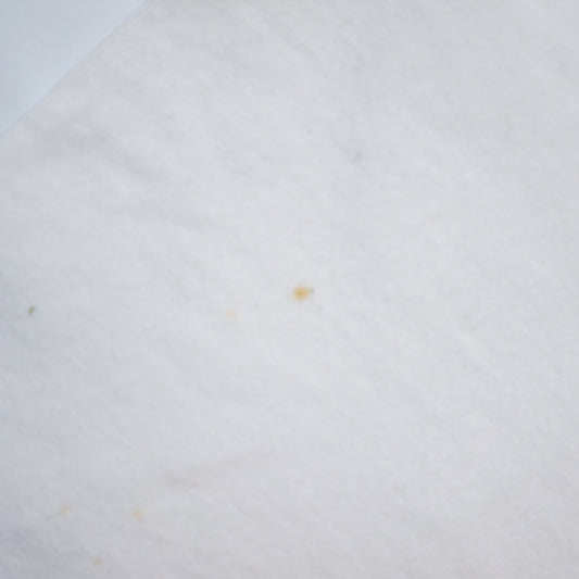 BUDWEISER WE CLOUD7VE BEEN HUGE! WHITE ANVIL XL (k_1211)