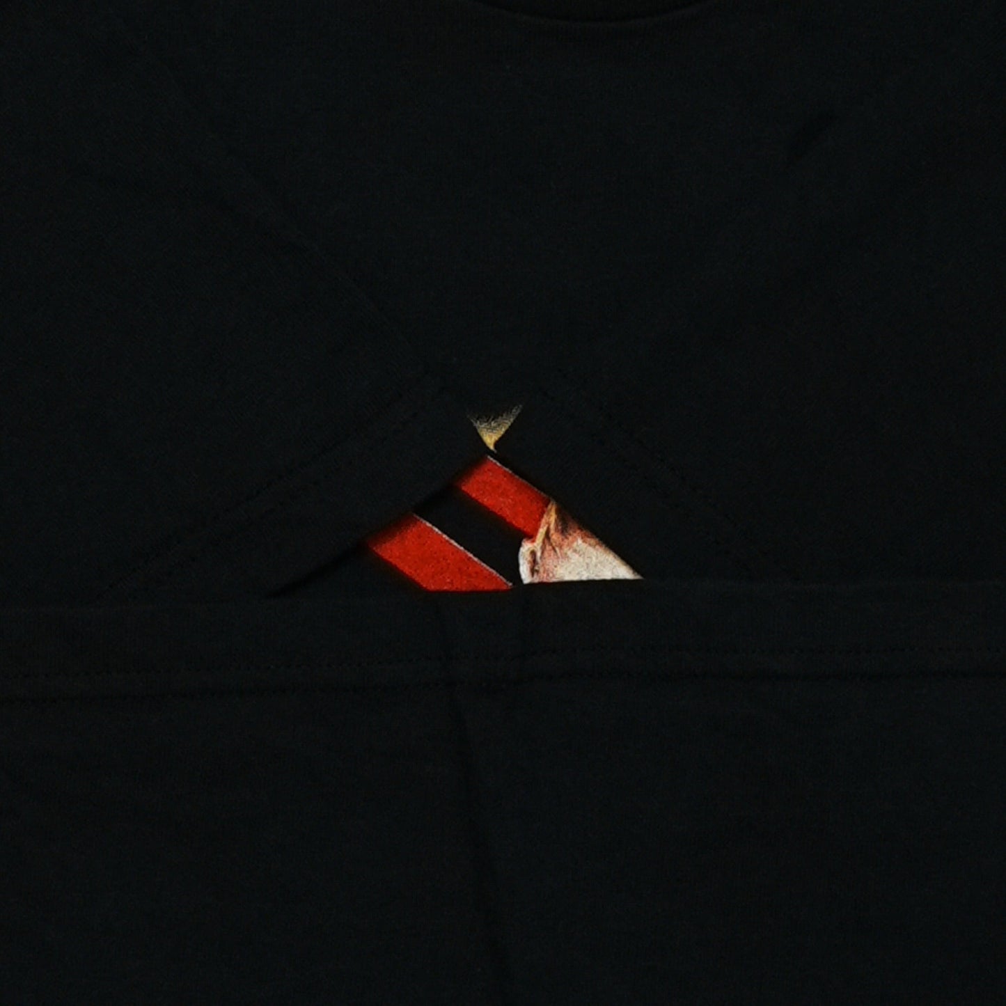 EMINEM ANGER MANEGEMENT TOUR 02 BOOTLEG FOTL LARGE