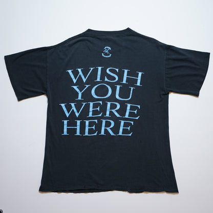 PINK FLOYD WISH YOU WERE HERE FITS LARGE(b_029)