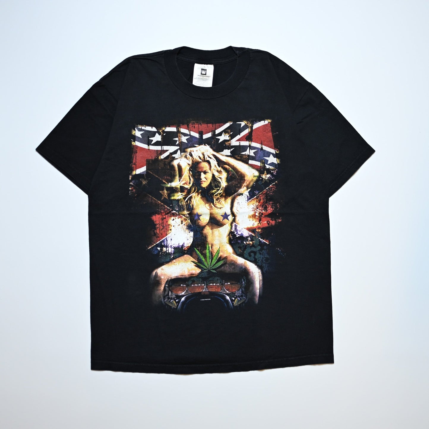 PANTERA 2000 HESHER DREAM NAKED GIRL TENNESSEE RIVER LARGE (b_1143)