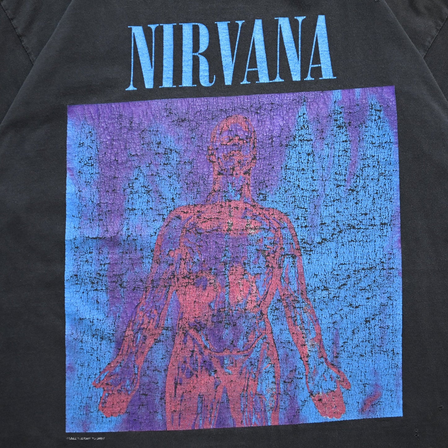 NIRVANA SLIVER giant BY TEE JAYS XL (g_1005)