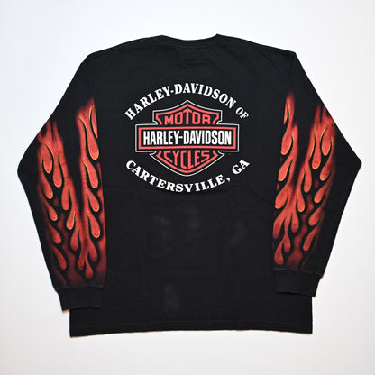 HARLEY DAVIDSON 2006 FLAME CARTERSVIILLE LS ORIGINAL XL (k_1214)