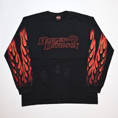HARLEY DAVIDSON 2006 FLAME CARTERSVIILLE LS ORIGINAL XL (k_1214)