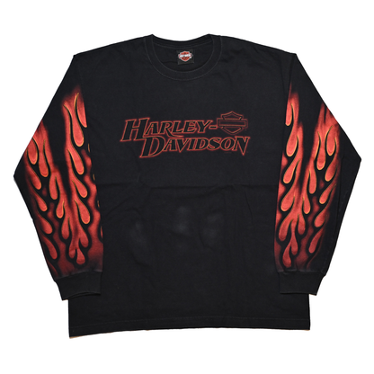 HARLEY DAVIDSON 2006 FLAME CARTERSVIILLE LS ORIGINAL XL (k_1214)